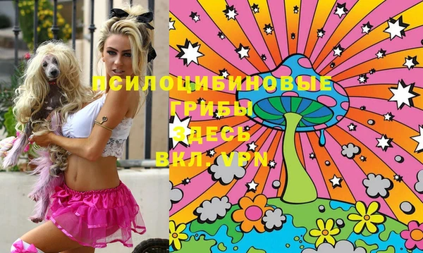 mdma Горнозаводск