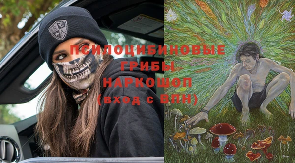прущая мука Горно-Алтайск