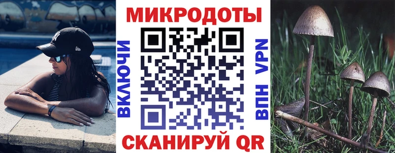 Псилоцибиновые грибы ЛСД  Купить закладки  Оса 